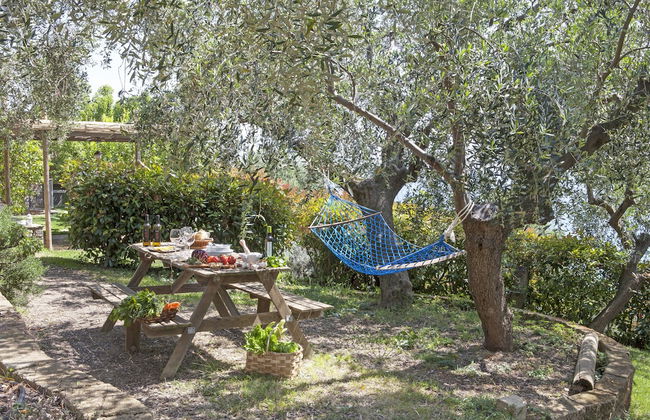 Agriturismo Uliveto Saglietto - Photo 53