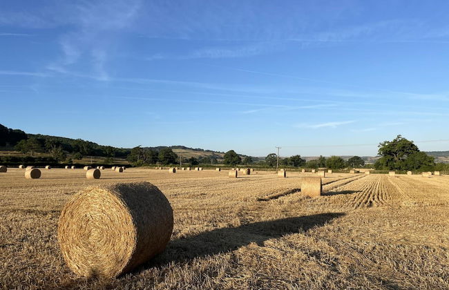 Stunning 2 Bed Cotswold Cottage Winchcombe - Foto 43