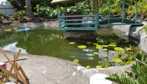 Fully renovated 4 bd with 2 master suits, 3 bth home in centralized location - Foto 4