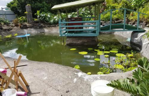 Fully renovated 4 bd with 2 master suits, 3 bth home in centralized location - Foto 4