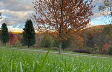 Appalachian Haven - Mountain Views - Vet Owned - Foto 23