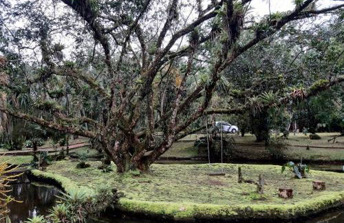 Magia e lazer - Chácara Lucinda - 12km do centro de Morretes - Foto 14