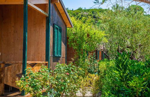 Agriturismo Valle di Marco - Foto 19