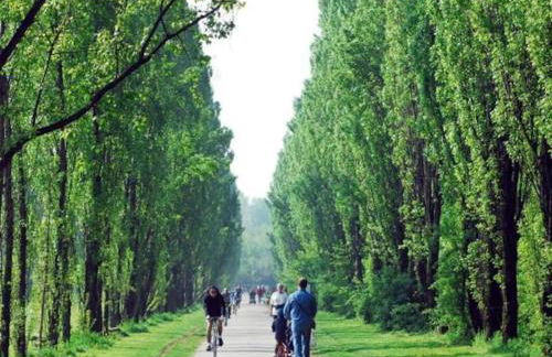 Milano Bicocca ultimo piano con ampia terrazza - Foto 53