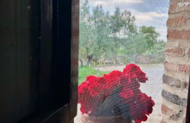 Casa rural La Portilla - Foto 80