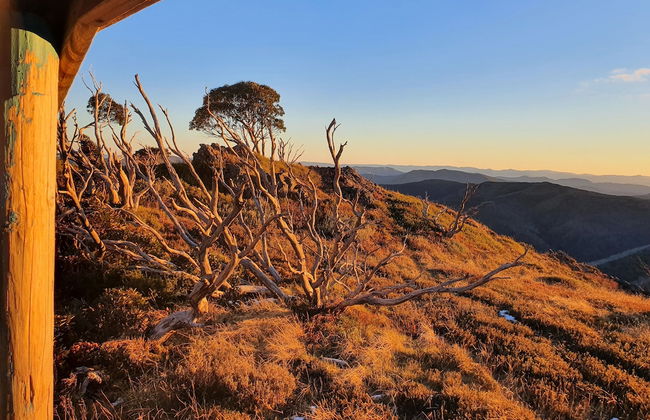 SNOWED INN apartment - Photo 30