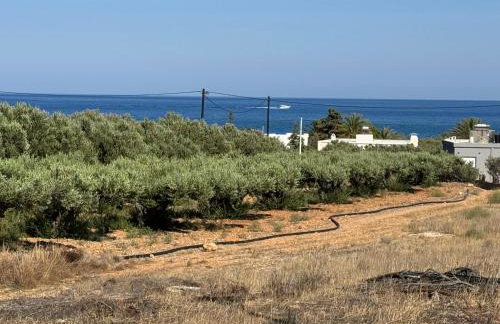 Victoria's House Xerokambos - Foto 22