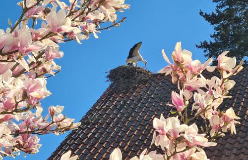 Storchenblick - Photo 3