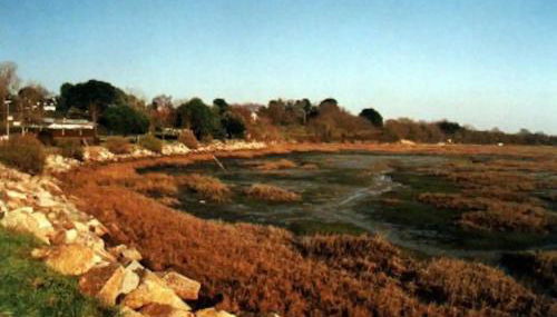 Le Goéland - Foto 3