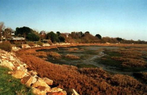 Le Goéland - Foto 3