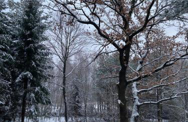 Odpoczynek Domki Pod Dębem z Opcją Jacuzzi - Foto 38