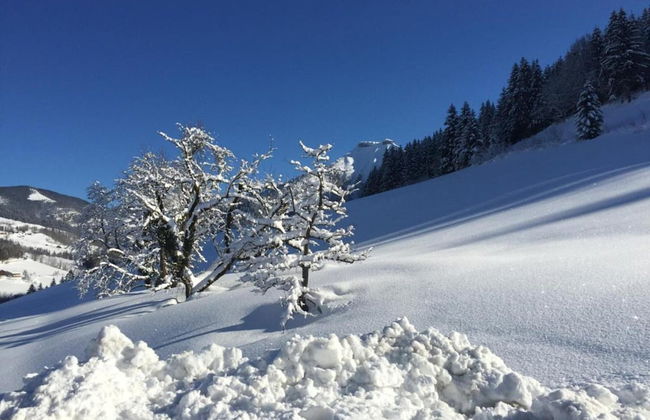 Apartment in Flachau Near Ski Lift - Foto 44