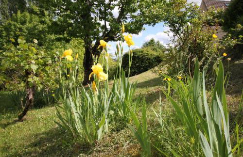 La Maison de Lassagne - Foto 55