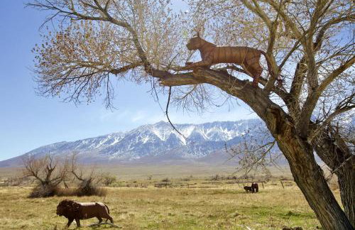 Stunning Design Rental Incredible for a Luxury Escape in Lone Pine, California - Foto 32