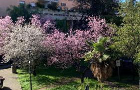 Casa Di Luce - Foto 43