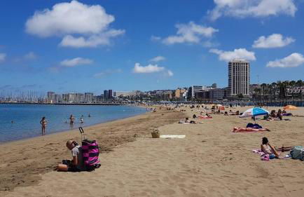 Nova Central - Foto 17