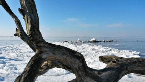 Ferienhaus Chrissy - Photo 2