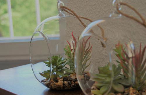 Casa de Limón - Photo 22