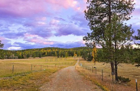 Ohana Ranch - Foto 42