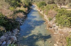 Serene, slow living house - Foto 31