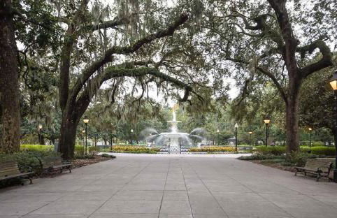 Lynwood Collection on Forsyth 11B by Lucky Savannah - Foto 28