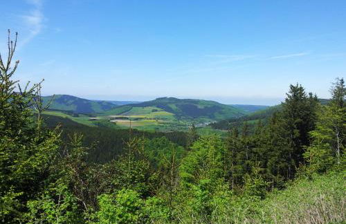Ferienwohnung Panorama II - Foto 18
