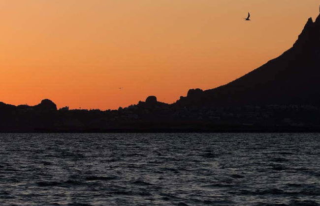 Escursione a San Carlos - Foto 5