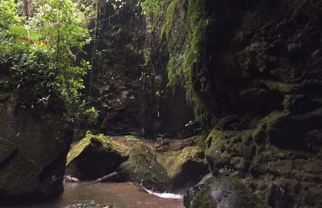 The Grand Canyon of Cotundo Day Trip - Photo 8