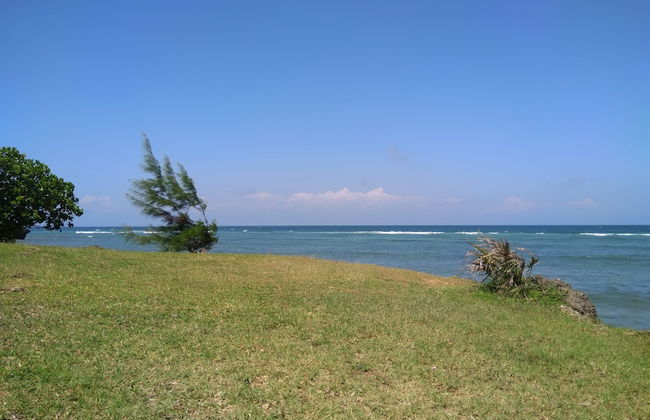 Galu Tulivu - Foto 29