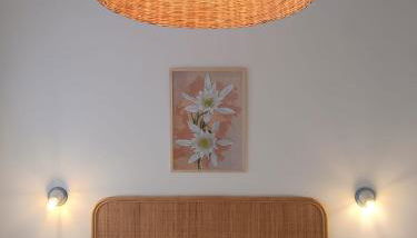 Giglio di mare Holiday house - Foto 2