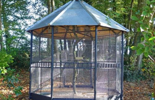 Château de Montbrault - Foto 22