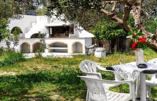 Calma Home - Foto 41