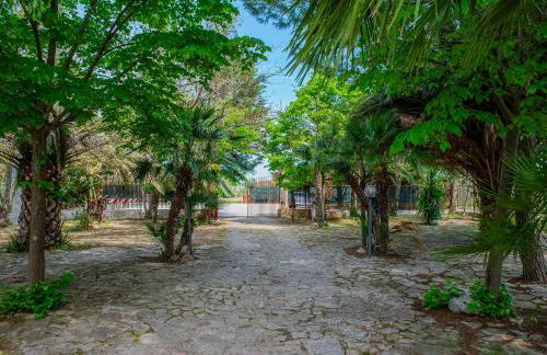 Villa Lucia - Foto 21