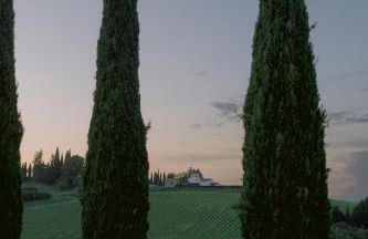 Castello Di Gabbiano - Foto 7