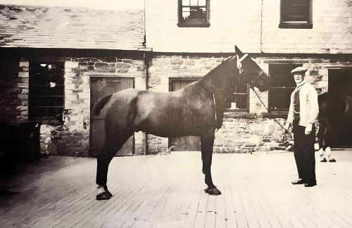 Ravenstone Lodge Country House Hotel - Foto 41