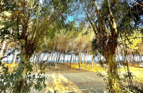 Le Corti Sarde On The Beach - Foto 28