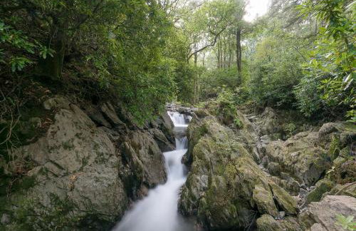 Waterfall Wood Cottage - Foto 29