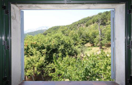 El Pinarejo - Photo 29