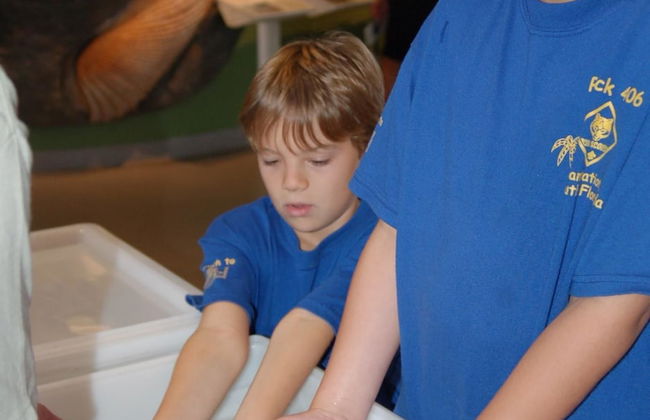 GreenLinks Golf Villas at Lely Resort - Foto 41