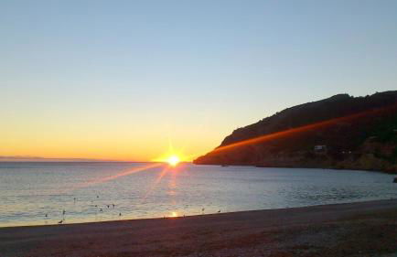 Albir 21 by Albir Proper Properties - Photo 35