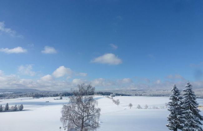 Schwarzwald - Foto 41