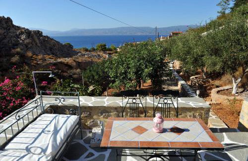 Hydra Erato - Foto 16