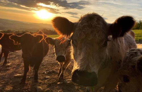 Chata pod stokiem - Foto 27