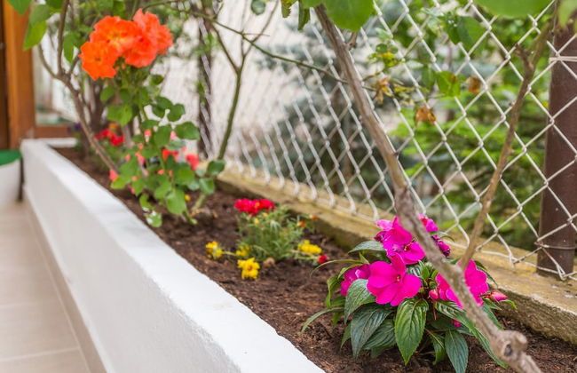 Studio Leon-Sara - Photo 17