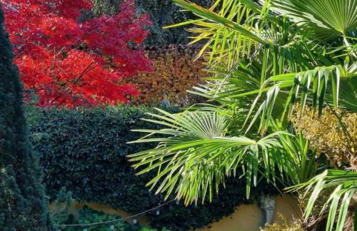 La casa di Beatrice e Francesca - Foto 45