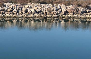 idéal touristes - Foto 38