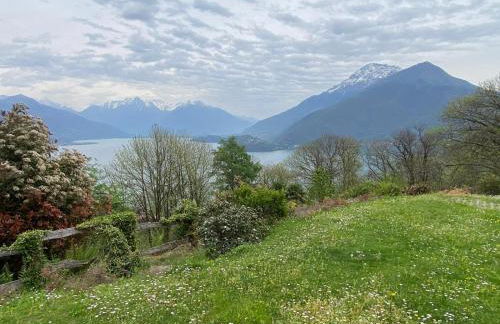 The Happy Rooster - Villa with Big Garden - Foto 16