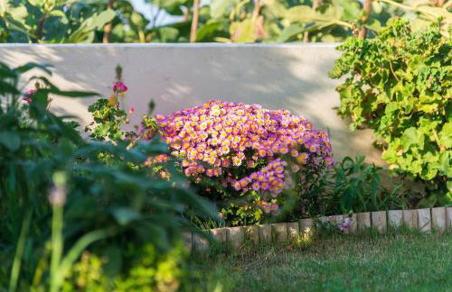 Muses Panoramic View, Minutes from Knossos Minoan Palace - Foto 25