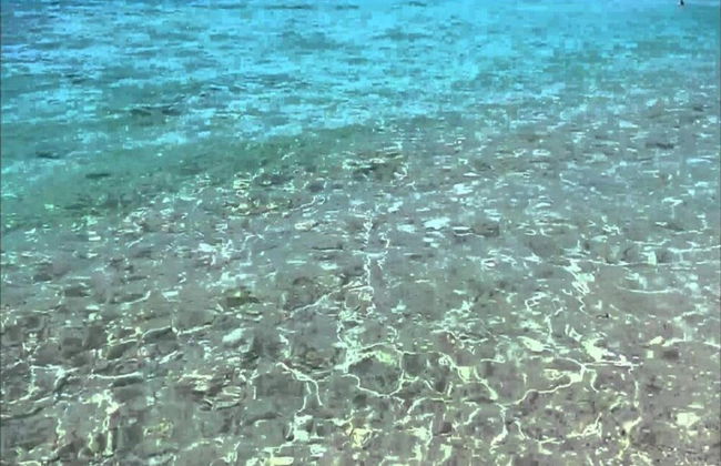 Villa Near Lecce With Garden and Beaches - Foto 28