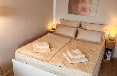 Penthouse studio apartment with terrace near Audi - Photo 6